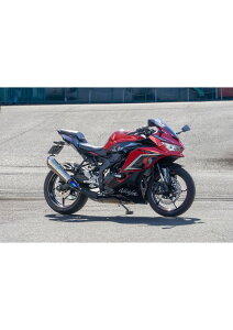 TT-Formula RS+PRO �t���`�^�� S/O ZX-25R SE(23-)/ZX-4R SE(23-)/ZX-4RR(23-) �I�[���@�[ �I�[�o�[ OVER ���[�V���O 17-861-12