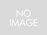 SENA セナ 50R用外付けブームマイク SOUND By Harman Kardon R-50R-WBMIC-B 0411314