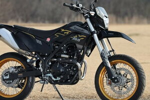 Sptadao SPj KAWASAKI KLX230SM POWER BOX pCv KL2-PB-01