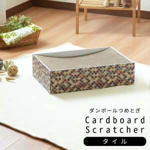 Pi Lp܂Ƃ i{[ i`V[Y ^C XNGA X^UCeA