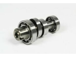 SP SP^PK X|[cJVtg 01-08-0059