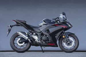 Yamamoto ヤマモトレーシング 14~YZF-R25 SPEC-A SLIP-ON オーバル 20254-01NON