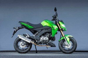 Yamamoto }g[VO 16~Z125 PRO SPEC-A UP TI 40114-71STC