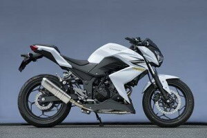 Yamamoto }g[VO 13~Z250 SPEC-A SLIP-ON TYPE-S 40253-01NSN