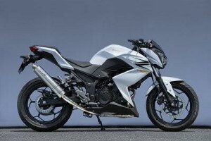 Yamamoto }g[VO 13~Z250 SPEC-A SLIP-ON TI 40253-01NTB