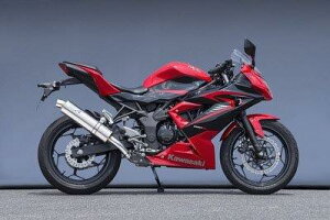 Yamamoto }g[VO 15~Ninja250SL SPEC-A SLIP-ON TI 40254-01NTB