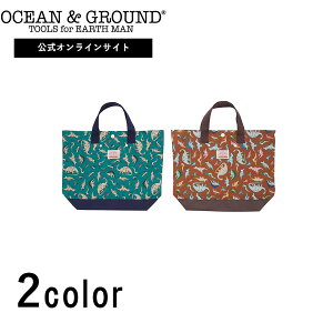 yzI[VAhOEh bXobO DINO OCEAN&GROUND LbY qǂ ǂ bXobO obO ʉ g[g j̎q ̎q ʉ ʊw  w ct ۈ牀 w |