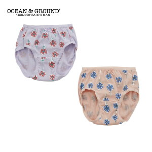 yzI[VAhOEh V[c Drawing FlowerOCEAN&GROUND V[c LbY pc   ̎q q q  킢 ʉ ʊw V Vw ct 100cm 110cm 120cm