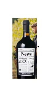 \񏳂蒆y2025N1030ցzqցz@B[m mFbv(ԁj720mlE1{ydzy݌ɊmFKvz