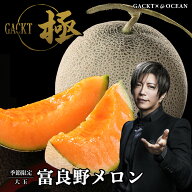 【2026年度予約】 北海道産 富良野メロン 秀品 大玉 2kg×1玉 ※発送時期をお選びいただけます
