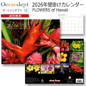 J_[ 2026 Ǌ|   Hawaiian Flowers t[J_[ nCA J_[ 킢 A4 2026N1n܂J_[ nCJ_[ Ǌ|J_[