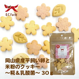 オーシーファーム　岡山県産平飼い卵と米粉のクッキー～糀＆乳酸菌～30g　〈原産国：日本〉無添加【犬　おやつ】【ドッグフード】