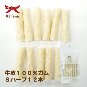 ԌI[V[t@[@Y̌gpI@100%KSn[t @12{@qYF{r@Y@@ifރWFKnjy@zyhbOt[hz