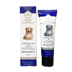 @gbvJpj[}kJybgPA@ANeB}kJnj[@MGO550@y@݂z