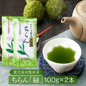 《3000円で500円OFFクーポン》 新茶 入荷 お茶 茶 知覧茶 ちらん茶 送料無料 お茶のぶどう園 知覧茶緑 100g × 2本 セット 知覧 ちらん 日本茶 鹿児島 鹿児島茶 緑茶 煎茶 茶 ギフト プレゼント 贈り物 御中元 お中元 初盆 返礼品 法事 土産 御挨拶 敬老の日 祝敬老