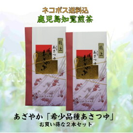 お茶 茶 緑茶 送料無料 お茶のぶどう園 あざやか 100g × 2本 セット 日本茶 ちらん茶 知覧茶 希少品種 あさつゆ 朝露 煎茶 天然玉露 贈り物 ギフト プレゼント お歳暮 お中元 土産 母の日 父の日 御挨拶 敬老の日 祝敬老