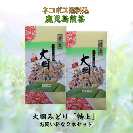 お茶 茶 緑茶 送料無料 お茶のぶどう園 大綱みどり 特上 100g × 2本 セット 日本茶 鹿児島茶 煎茶 茶葉 鹿児島 薩摩川内 さつま つん 川内大綱引 ギフト プレゼント 贈り物 お歳暮 お中元 土産 母の日 父の日 御挨拶 敬老の日 祝敬老