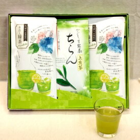 送料込 お茶 ギフト プレゼント 詰合せ 水出し緑茶 ティーバッグ ちらん茶「緑」 3本箱入ギフト 水出し茶 鹿児島茶 緑茶 茶葉 冷茶 御礼 内祝 御祝 贈り物 お歳暮 お中元 土産 法事 返礼品 快気祝 宅配便発送 送料無料 母の日 父の日 御挨拶 御中元 初盆 敬老の日 祝敬老