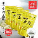 金の宇治玉露 ありそうでなかった 京都 宇治玉露のティーバック40P(3gx10px4袋セット） 日本三大産地 京都 宇治玉露 宇治茶 贈答用 高級茶 紐付き 便利 贈答用 玉露 100％ ティーバック 水出し