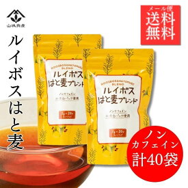 【ポイント10倍！】ノンカフェイン茶リピート率No1こんなお茶が欲しかった！ ルイボスティー＆ハトムギ茶ブレンド ティーバック 40P入大注目のヨクイニン 無漂白パック スキンケア 毎日飲むなら ルイボスティー はと麦茶 エイジングケア ブレンド茶 ミネラル 健康茶