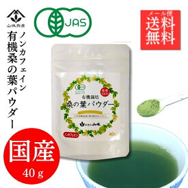 【ポイント10倍！】桑の葉パウダー 粉末 有機桑の葉 桑の葉茶 桑の葉 有機JAS お試し 国産 パウダー 40g ノンカフェイン 有機JAS認定 エシカル 青汁 水で溶ける 冷水 健康飲料