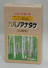 ガバノアナタケ ティーパック 5g×32袋 チャーガ