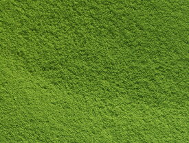 【業務用】 上玉露パウダー （粉末茶）1kg（500g×2本）玉露100％