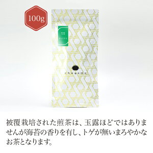 s{Ԃ 100g yz  green tea y{ZNgVbvz Échagama