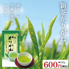 ＼2026年新茶／新茶かりがね（100g）茎 新茶 お茶 かりがね かりがね茶 茎茶 くき茶 白折 緑茶 茶葉 日本茶 一番茶 うまみ まろやか 水出し 冷茶