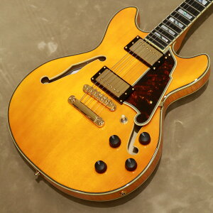 [Outlet] D'Angelico ( fBAWFR ) Excel Mini DC, Vintage NaturalyWEBSHOP݌Ɂz