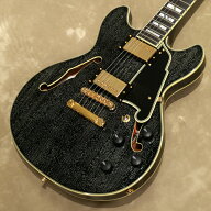 [Outlet] D'Angelico ( ディアンジェリコ ) Excel Mini DC, Black Dog【WEBSHOP在庫】