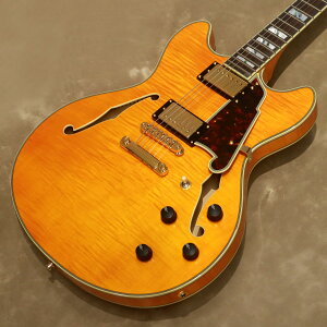 DfAngelico Excel Series Excel DC, Vintage NaturalyVANo:W2204805zyX݌ɕiz