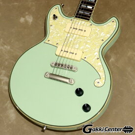 D’Angelico Deluxe Series Deluxe Brighton Limited Edition, Sage【WEB SHOP在庫】