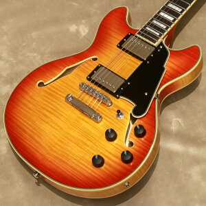 D'Angelico ( fBAWFR ) Premier Mini DC XTmS/N:WN2505042n