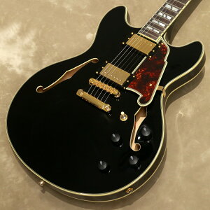 DfAngelico Excel Series Excel DC, Solid BlackyVANo:W2202000zyX݌ɕiz