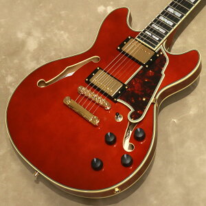 DfAngelico Excel Series Excel Mini DC, ViolayVANo: W2200941zyX݌ɕiz