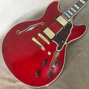 [Outlet] D'Angelico ( fBAWFR ) Excel DC, Trans Cherry yWEBSHOP݌Ɂz