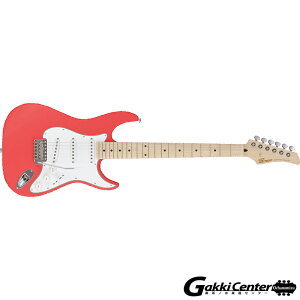 Greco WS-STD, �[��/Maple