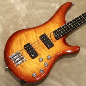 Vigier Arpege V4ECC Amber�y�V���A��No:VIG-0581/4.2kg�z