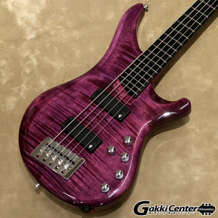 楽天市場】Vigier Arpege 5 strings, V5ECC, Amethyst Purple 