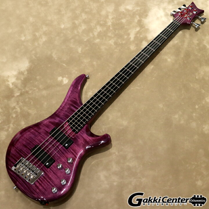 楽天市場】Vigier Arpege 5 strings, V5ECC, Amethyst Purple 
