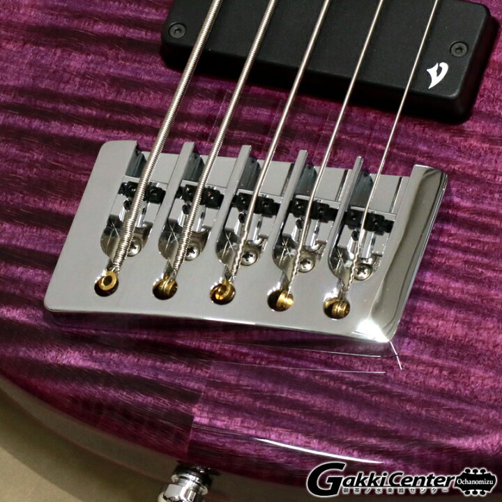 楽天市場】Vigier Arpege 5 strings, V5ECC, Amethyst Purple 