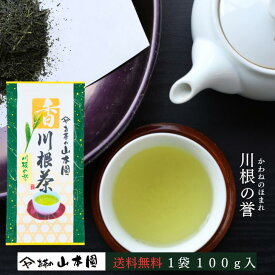 2025年度 新茶 川根の誉 100g 緑茶 静岡 静岡茶 お茶 茶 日本茶 新茶 茶葉 やぶきた 藪北 やぶ北 国産 まとめ買い 人気 内祝い ブランド 川根茶 煎茶 贈答用 贈答 ギフト お中元 お歳暮 送料無料 ふるさと納税 お返し 高級 母の日 水出し 冷茶