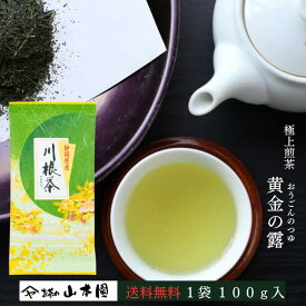 2026年度産 新茶 黄金の露 100g 緑茶 静岡 静岡茶 お茶 茶 日本茶 新茶 茶葉 やぶきた 藪北 やぶ北 国産 まとめ買い 人気 内祝い ブランド 川根茶 煎茶 贈答用 贈答 ギフト お中元 お歳暮 送料無料 高級 母の日 水出し 冷茶 お年賀 メール便