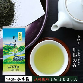 2026年度産 新茶 川根の香 100g 緑茶 静岡 静岡茶 お茶 茶 日本茶 茶葉 やぶきた 藪北 やぶ北 国産 まとめ買い 人気 内祝い ブランド 川根茶 煎茶 贈答用 贈答 ギフト お中元 お歳暮 送料無料 ふるさと納税 お返し 高級 健康 母の日 水出し 冷茶 メール便配送