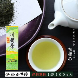 2025年度 新茶 初摘み 100g 緑茶 静岡 静岡茶 お茶 茶 日本茶 茶葉 やぶきた 藪北 やぶ北 国産 まとめ買い 人気 内祝い ブランド 川根茶 煎茶 贈答用 贈答 ギフト お中元 お歳暮 送料無料 ふるさと納税 お返し 高級 健康 母の日 水出し 冷茶 お年賀 メール便