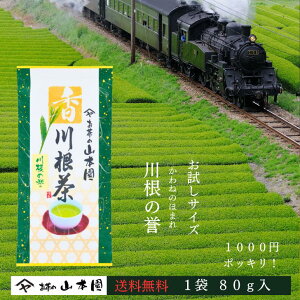 2025N V TCY 썪̗_ 80g1000~|bL Β É É   { t Ԃ Mk Ԗk Y ܂Ƃߔ lC j uh 썪  p  Mtg 