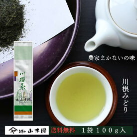 川根みどり 100g 緑茶 静岡 静岡茶 お茶 茶 日本茶 茶葉 やぶきた 藪北 やぶ北 国産 まとめ買い 人気 内祝い ブランド 川根茶 煎茶 贈答用 贈答 ギフト お中元 お歳暮 送料無料 ふるさと納税 お返し カテキン 高級 健康 母の日 メール便配送 水出し 冷茶 業務用