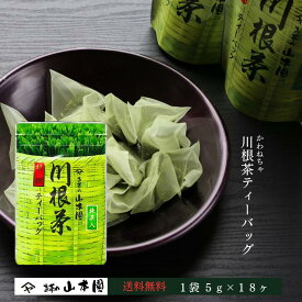 川根茶 ティーバッグ 個包装 5g×18ヶ入 緑茶 静岡 静岡茶 お茶 茶 日本茶 茶葉 やぶきた 藪北 やぶ北 国産 冷茶 水出し まとめ買い 人気 内祝い ブランド 川根茶 煎茶 贈答用 贈答 ギフト お中元 お歳暮 送料無料 ふるさと納税 お返し カテキン 高級 ティーパック