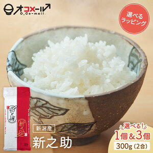 �V�� �ߘa7�N�Y(2025�N�Y) �V���Y �V�V�� 300g(2��) ×1��/3�� l �^��� �V���� ���Y ���� ���� �I�R���[�� �M�t�g �v���[���g ��������